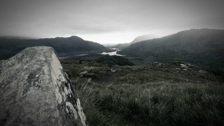 How To Stream Today?S Live Match On Cricbet99 Vip Site?